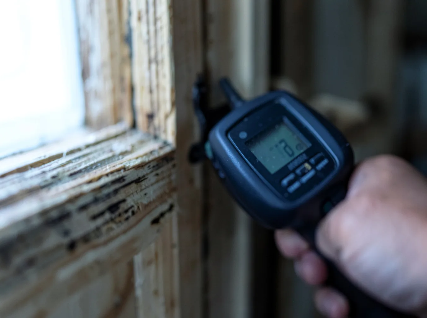 Moisture Inspection And Documentation in Muncy, PA